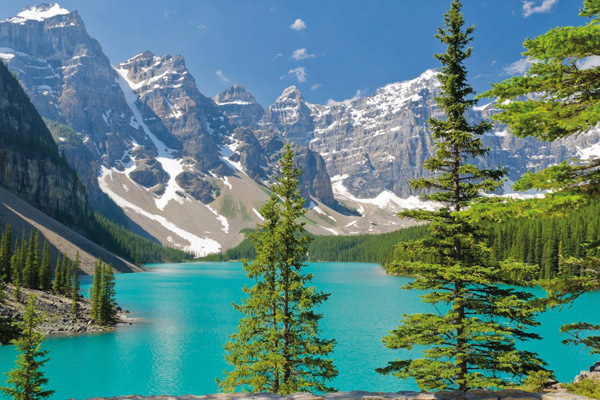 Estudiar en colegios públicos en Alberta | School Districts de Alberta