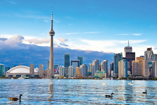 Estudiar en colegios públicos en Ontario | School Districts de Ontario