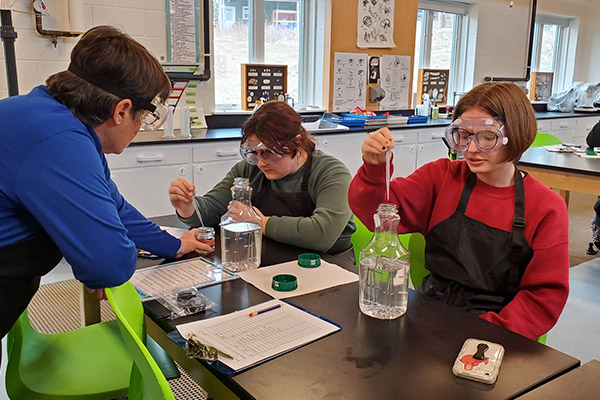 Programas F1 de año escolar en Estados Unidos